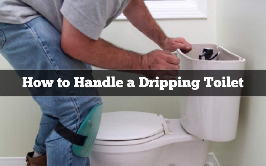 Handling a Dripping Toilet